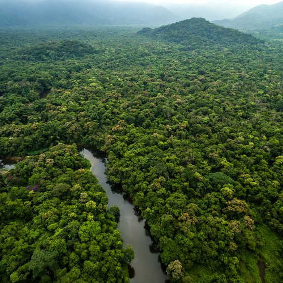 Mga resulta ng larawan para sa Amazon Rainforest lies at the Amazon River"